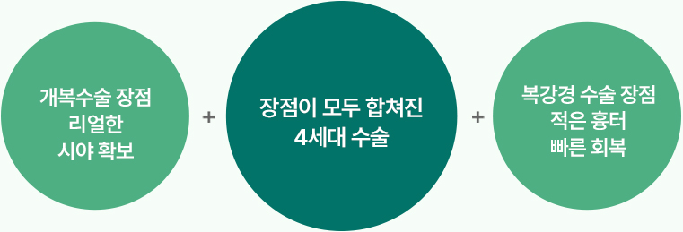 단일공 수술